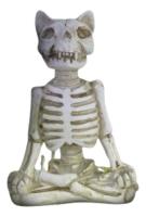Usado, $ Estatua Figura Esqueleto Gato Cat Halloween Decorativa.  segunda mano   México 