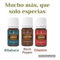 Aceites Esenciales Albahaca, Black Pepper Y Cilantro +regalo segunda mano   México 