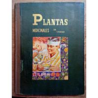 Plantas Medicinales Dr. Vander - 4a. Edición 1955, usado segunda mano   México 