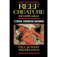 Reef Creature Identification Florida Caribbean... Seminuevo segunda mano   México 