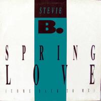 Stevie B - Spring Love (club Mix), usado segunda mano   México 