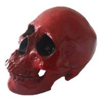 Cráneo Humano De Resina, usado segunda mano   México 