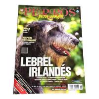 Revista De Perros Lebrel Irlandés Junio 2013, usado segunda mano   México 
