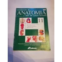 Libro Enciclopedia De Anatomía Y Atlas Del Cuerpo Tomó 11, usado segunda mano   México 