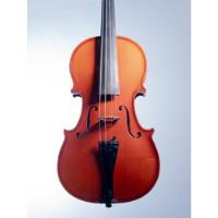 Violin Strunal Republica Checa 4/4, usado segunda mano   México 