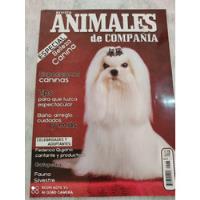Revista Animales De Compañía Exposiciones Caninas Tips segunda mano   México 