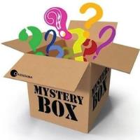 Mystery Box - Caja Sorpresa Electrodomésticos D Cocina Hogar, usado segunda mano   México 