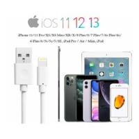 Cable 2m Cargador Apple Usbpara iPhone, iPad, iPod Original  segunda mano   México 