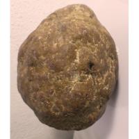 Piedra Hematit Cir 38-40 Cm Diam 17-13 Cm Peso 2 Kg segunda mano   México 