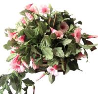 $ Maceta Antigua Arreglo Floral Oriental Chino Rosa Vintage. segunda mano   México 