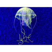 acuario medusas segunda mano   México 