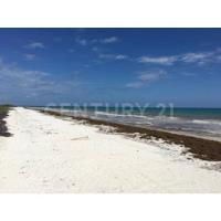 Terreno Con Frente De Playa En Sian Ka´an Tulum, usado segunda mano   México 