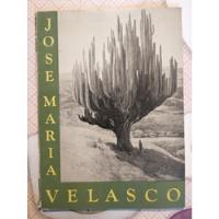 José María Velasco  Philadelphia Museum Of Art And Brooklyn  segunda mano   México 