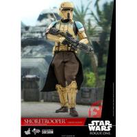 Star Wars Hot Toys Shore Trooper Squad Leader 1/6 Scale segunda mano   México 