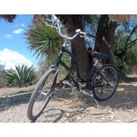Bicicleta Electra Townie  R26 segunda mano   México 