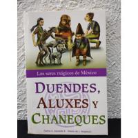 Duendes Aluxes Y Chaneques. Los Seres Mágicos De México 2006, usado segunda mano   México 
