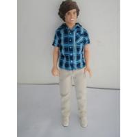 Hasbro 1d One Direction Harry 12 Inch Collector Doll Toy segunda mano   México 
