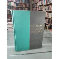 Un Atlas De Anatomía Humana Anson 1963 Inglés  segunda mano   México 