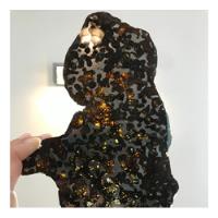 Pallasita / Pallasite Meteorito Sericho De Kenia 138 Grs segunda mano   México 