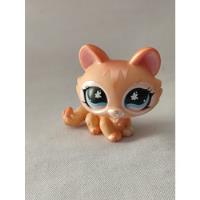 Gato Kittennaranja Brillosos  Littlest Pet Shops  Hasbro 11, usado segunda mano   México 