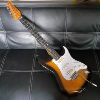 Guitarra Eléctrica Jay Turser 300 Series Jt-300 , usado segunda mano   México 
