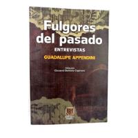 Fulgores Del Pasado, Guadalupe Appendini 2011 1ra Ed segunda mano   México 