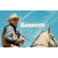 Bonanza Serie Completa En Dvd segunda mano   México 