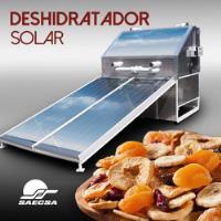 Usado, Deshidratador Solar Semi-industrial  Con Charolas Gratis segunda mano   México 