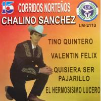 Cd Chalino Sanchez 15 Corridos Norteños Tino Quintero segunda mano   México 