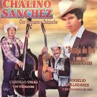 Cd Chalino Sanchez Baraja De Oro Con Requinto Y Tololoche segunda mano   México 
