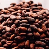 Semilla De Cacao Tostada 1kg segunda mano   México 